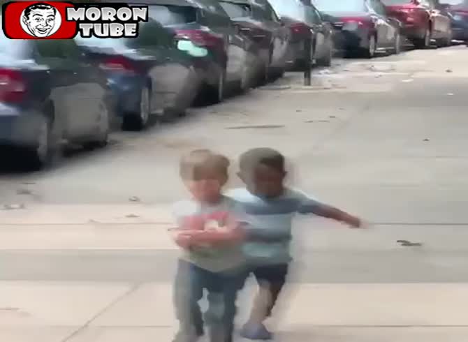 Video :New York - The world's finest buddies, Maxwell and Finnegan